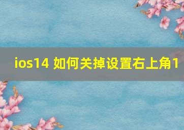 ios14 如何关掉设置右上角1